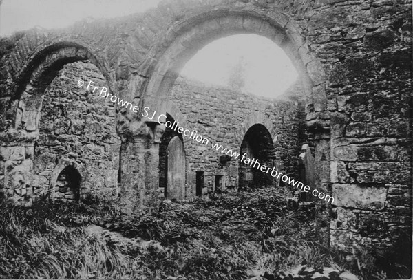 CREVALEA FRIARY  SOUTH CHAPELS THROUGH NAVE ARCHES